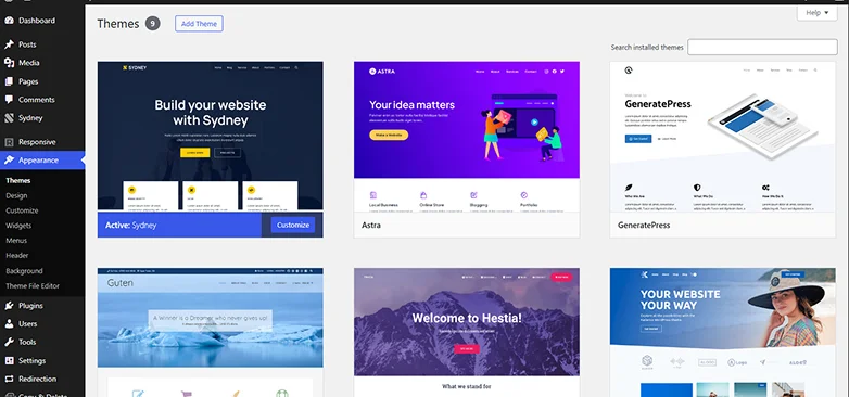 choose wordpress responsive theme