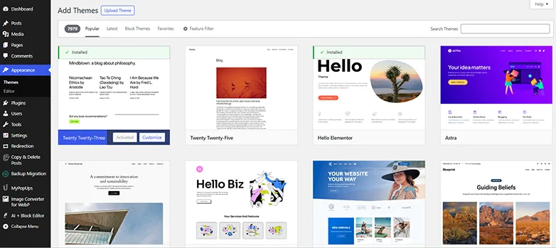 choose wordpress themes