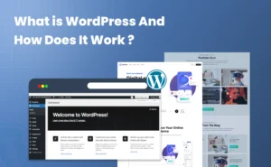 what-is-wordpress-and-how-does-it-work