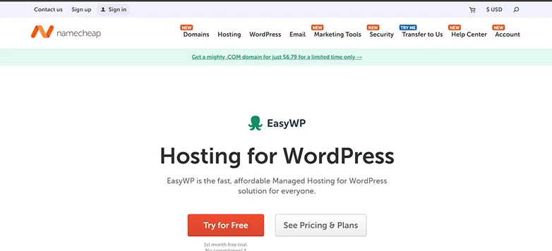 managed wordpress hosting