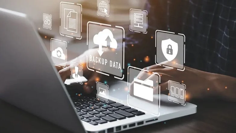 set up regular website backups